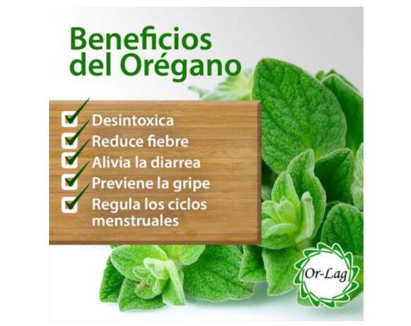 Beneficios del orégano