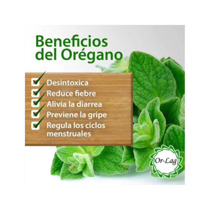 Beneficios del orégano