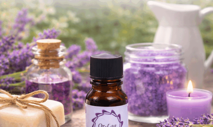 Lavanda: usos tradicionales y aplicaciones cotidianas
