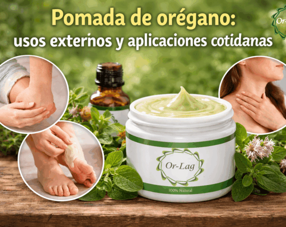Pomada de orégano: usos externos y aplicaciones cotidianas Pomada de orégano: usos externos y aplicaciones cotidianas
