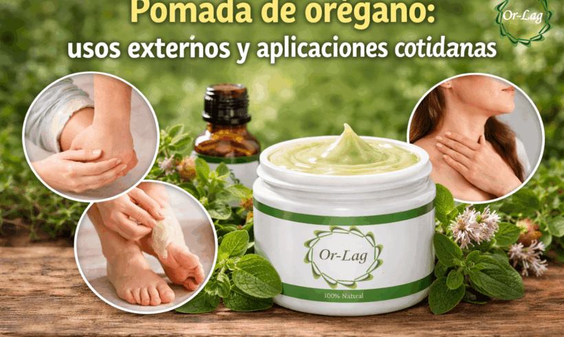 Pomada de orégano: usos externos y aplicaciones cotidianas