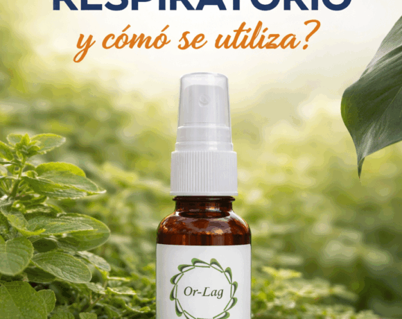 ¿Qué es un atomizador respiratorio y cómo se utiliza? ¿Qué es un atomizador respiratorio y cómo se utiliza?