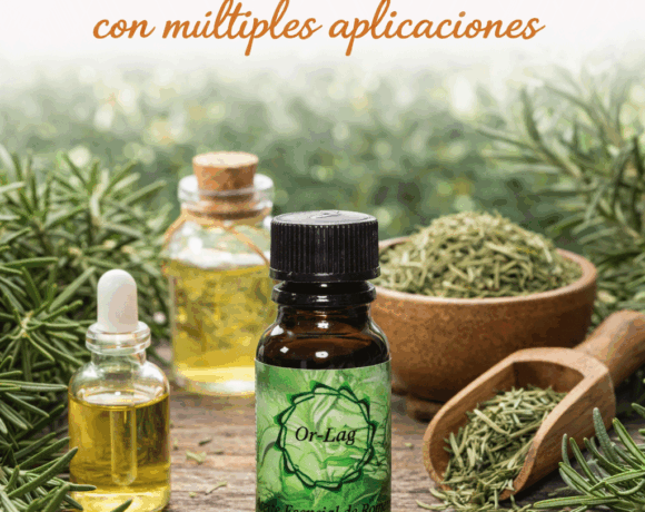 Romero: un ingrediente natural con múltiples aplicaciones Romero: un ingrediente natural con múltiples aplicaciones