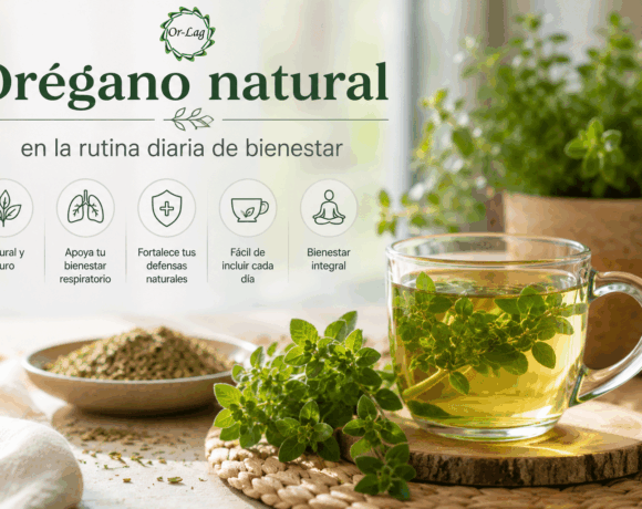 Orégano natural en la rutina diaria de bienestar Orégano natural en la rutina diaria de bienestar