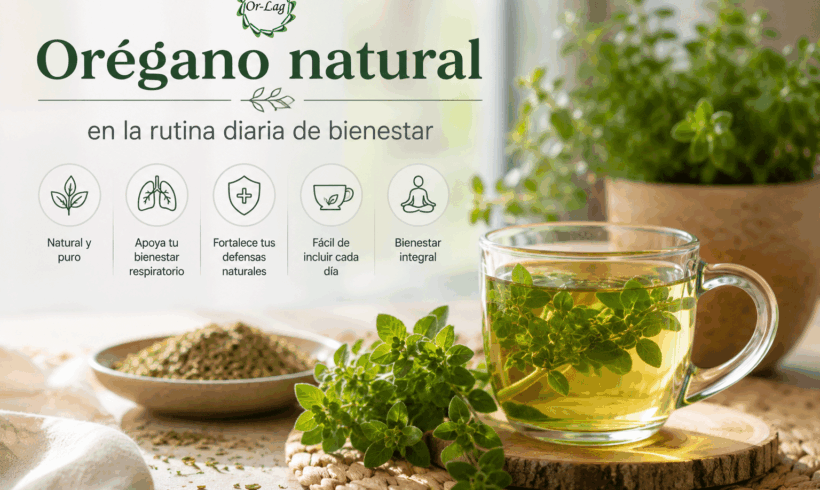 Orégano natural en la rutina diaria de bienestar