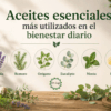 Aceites esenciales más utilizados en el bienestar diario