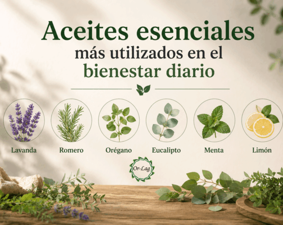 Aceites esenciales más utilizados en el bienestar diario Aceites esenciales más utilizados en el bienestar diario