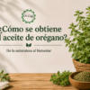 ¿Cómo se obtiene el aceite de orégano?