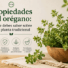 Propiedades del orégano: lo que debes saber sobre esta planta tradicional